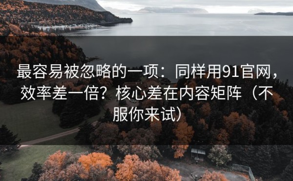 最容易被忽略的一项：同样用91官网，效率差一倍？核心差在内容矩阵（不服你来试）
