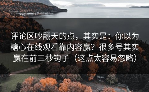 评论区吵翻天的点，其实是：你以为糖心在线观看靠内容赢？很多号其实赢在前三秒钩子（这点太容易忽略）