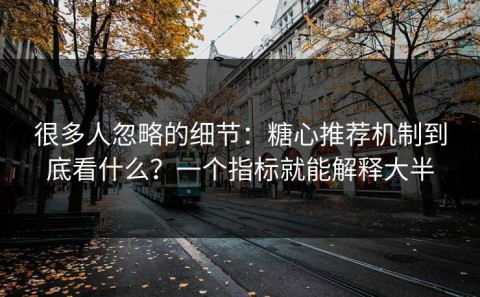 很多人忽略的细节：糖心推荐机制到底看什么？一个指标就能解释大半