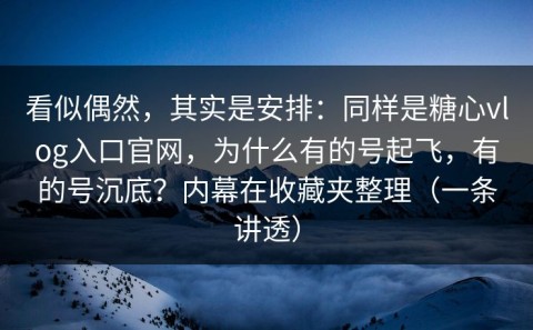 看似偶然，其实是安排：同样是糖心vlog入口官网，为什么有的号起飞，有的号沉底？内幕在收藏夹整理（一条讲透）