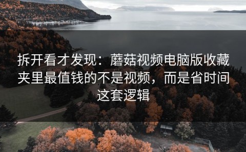 拆开看才发现：蘑菇视频电脑版收藏夹里最值钱的不是视频，而是省时间这套逻辑