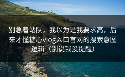 别急着站队，我以为是我要求高，后来才懂糖心vlog入口官网的搜索意图逻辑（别说我没提醒）