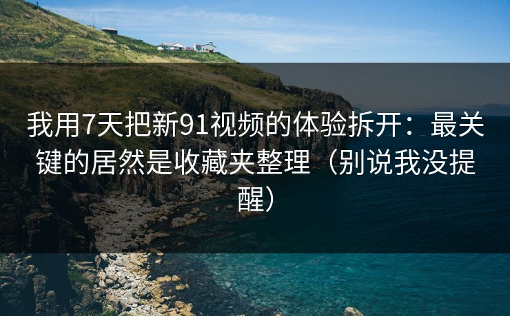 我用7天把新91视频的体验拆开：最关键的居然是收藏夹整理（别说我没提醒）