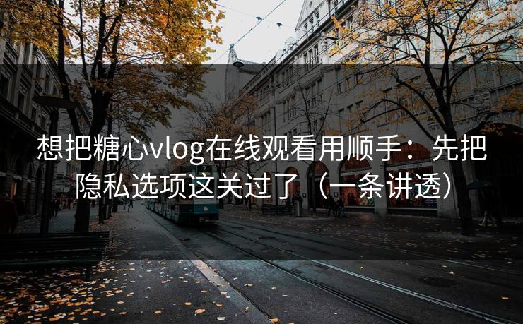 想把糖心vlog在线观看用顺手:先把隐私选项这关过了(一条讲透) 想把糖心vlog在线观看用顺手:先把隐私选项这关过了(一条讲透)