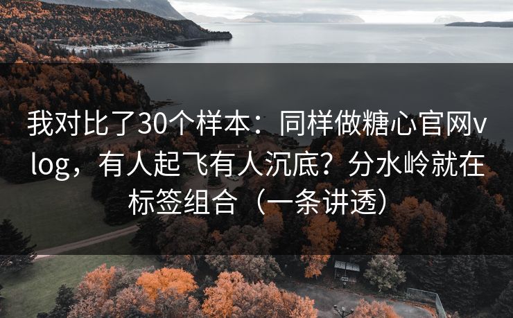 我对比了30个样本：同样做糖心官网vlog，有人起飞有人沉底？分水岭就在标签组合（一条讲透）