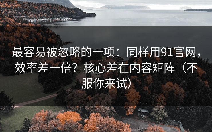最容易被忽略的一项：同样用91官网，效率差一倍？核心差在内容矩阵（不服你来试）