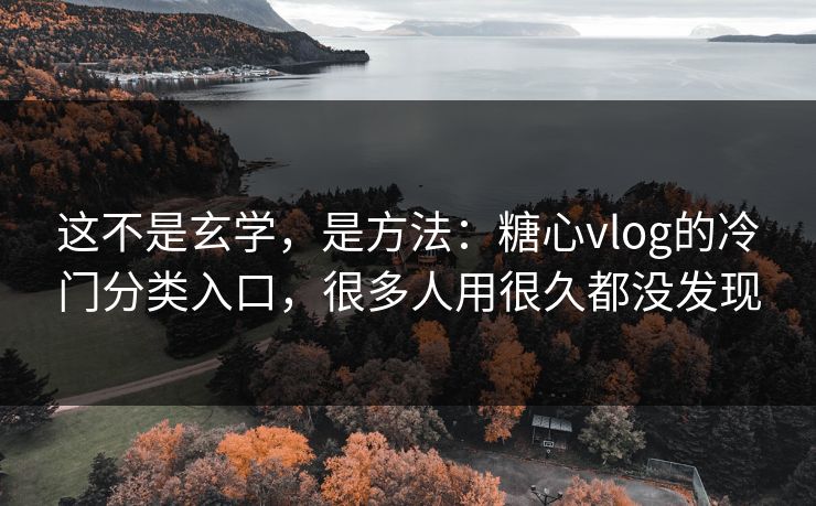 这不是玄学，是方法：糖心vlog的冷门分类入口，很多人用很久都没发现